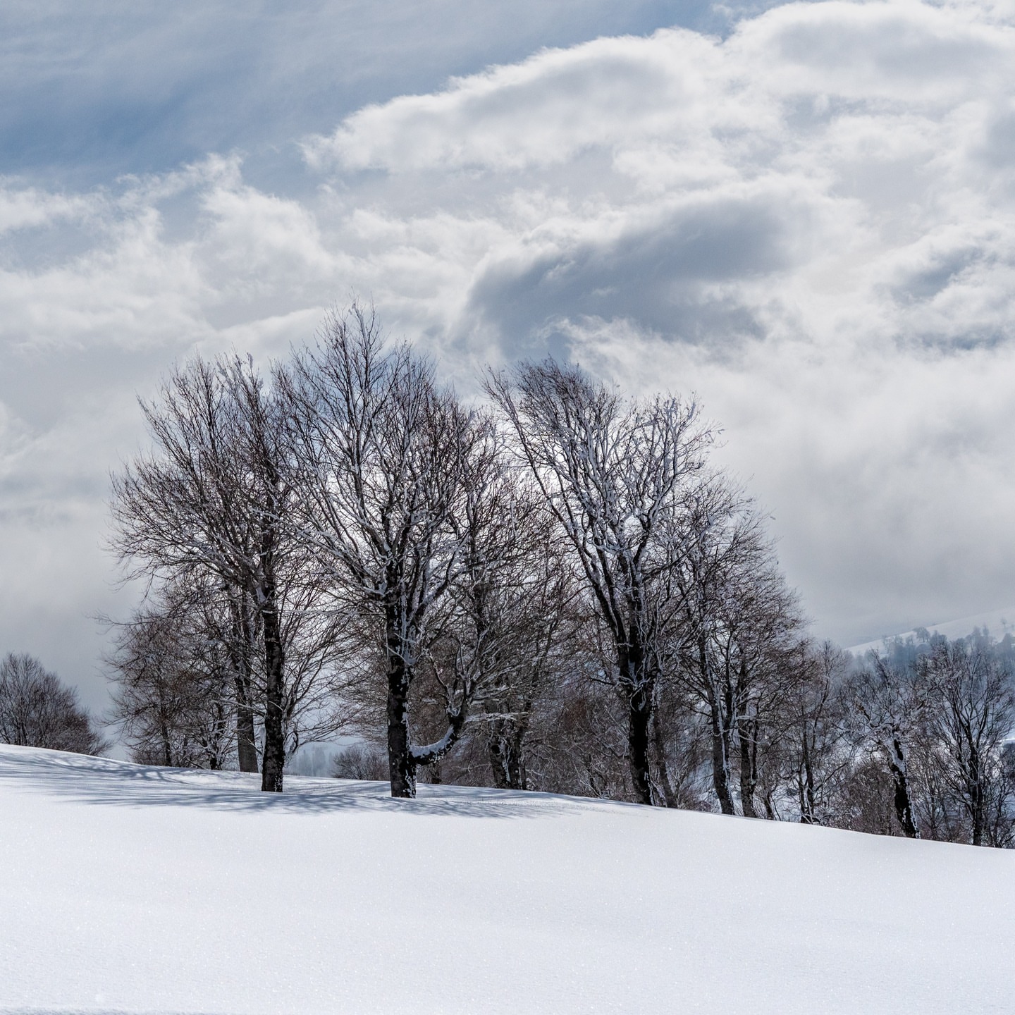 Goderdzi Ski Resort — фото от @olegsoulshaker