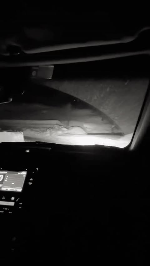 Goderdzi Ski Resort - DV8rD7HjFiw