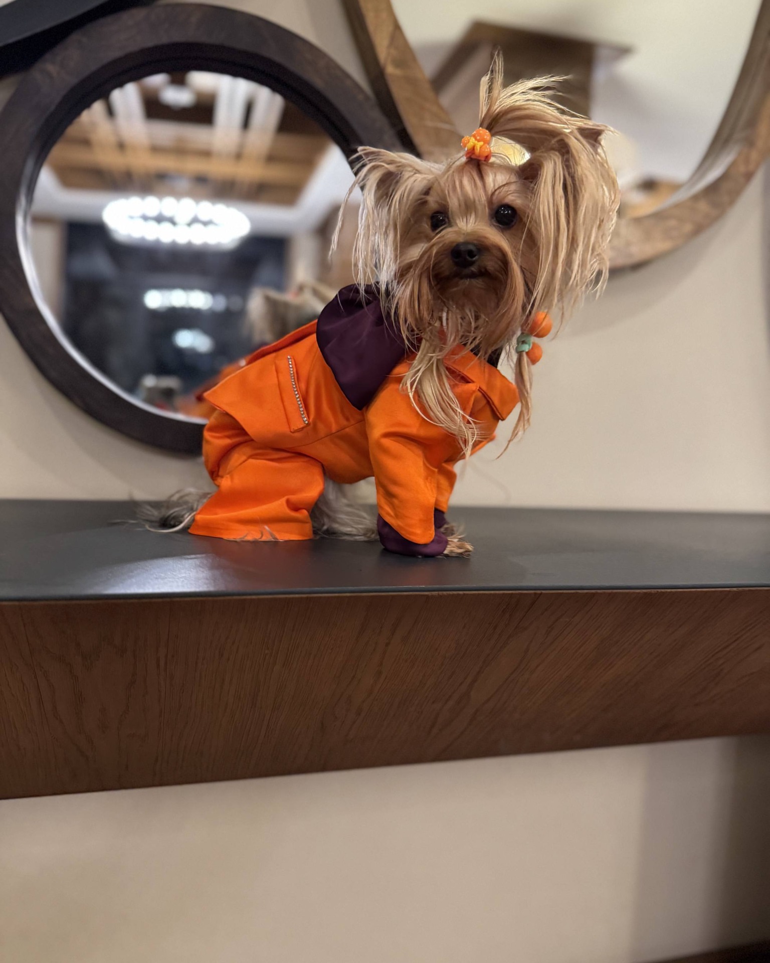 Goderdzi Ski Resort - DV9Npc9D9rw