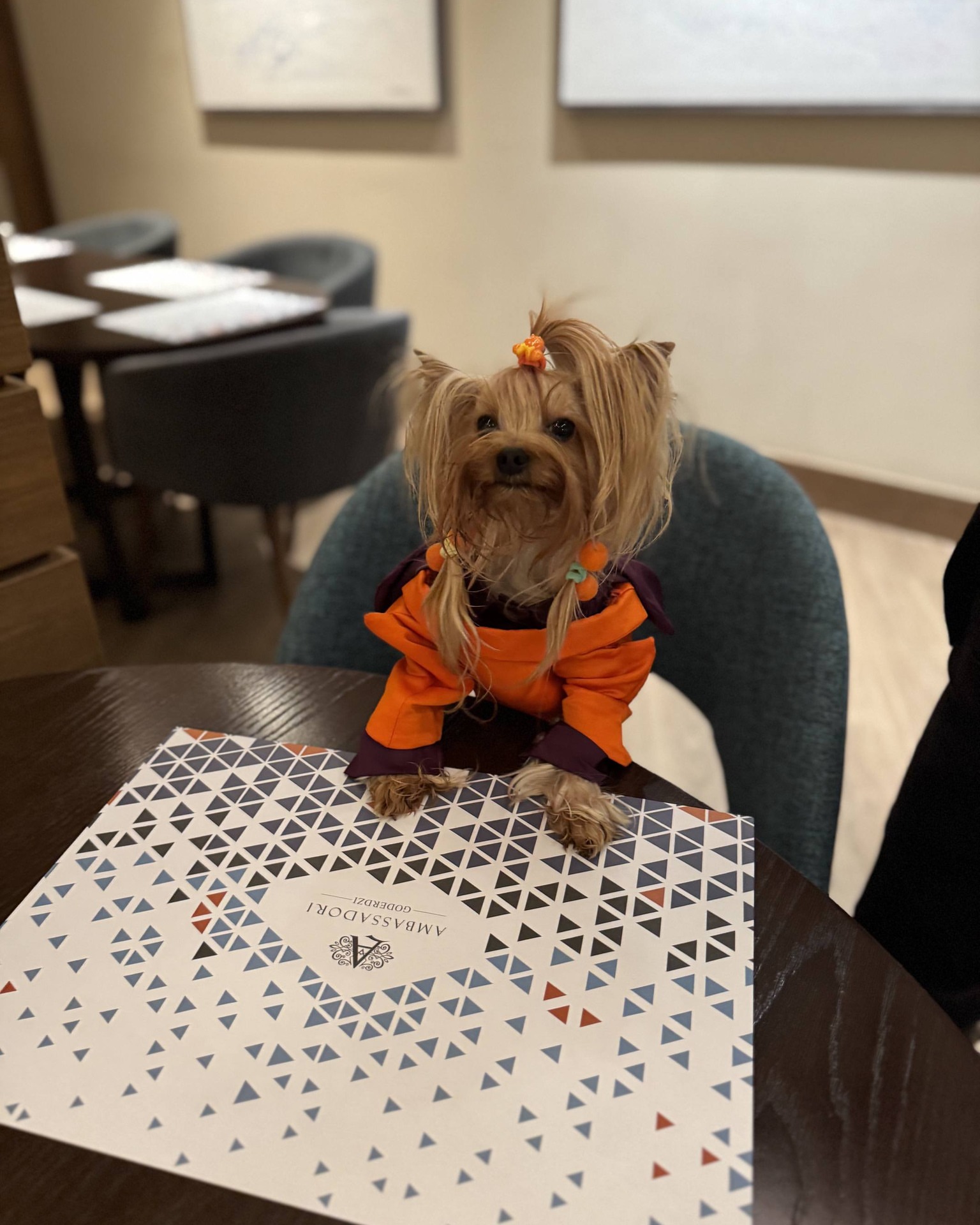 Goderdzi Ski Resort - DV9UmJLAPAF