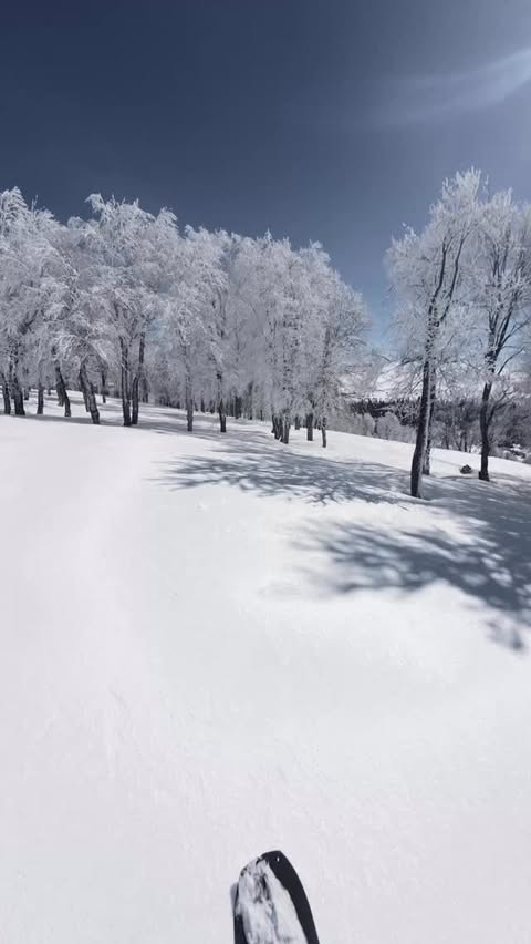 Goderdzi Ski Resort — фото от @olegsoulshaker