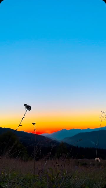 Goderdzi Skigebiet — Foto von @khatia___________